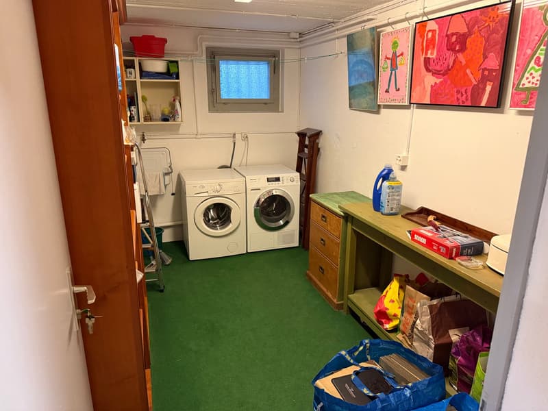 two washing machines, shelves, ladder, storage bags, cleaning products