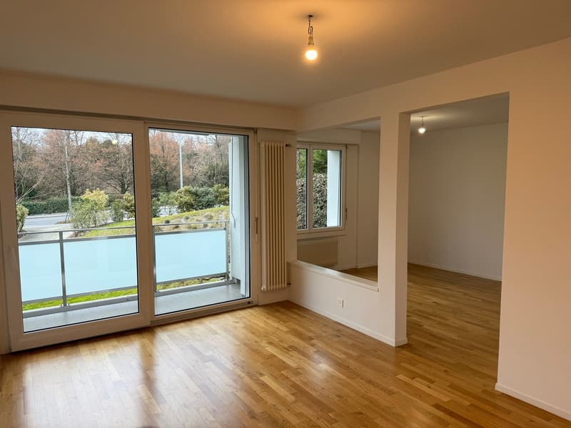 empty room with sliding glass doors leading to balcony, wooden floor, white walls, large windows, radiators