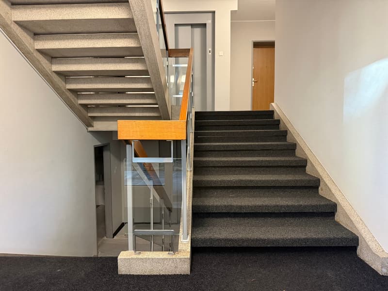 Stainless steel railings, glass railings, wooden handrail, tiled stairs, black carpet
