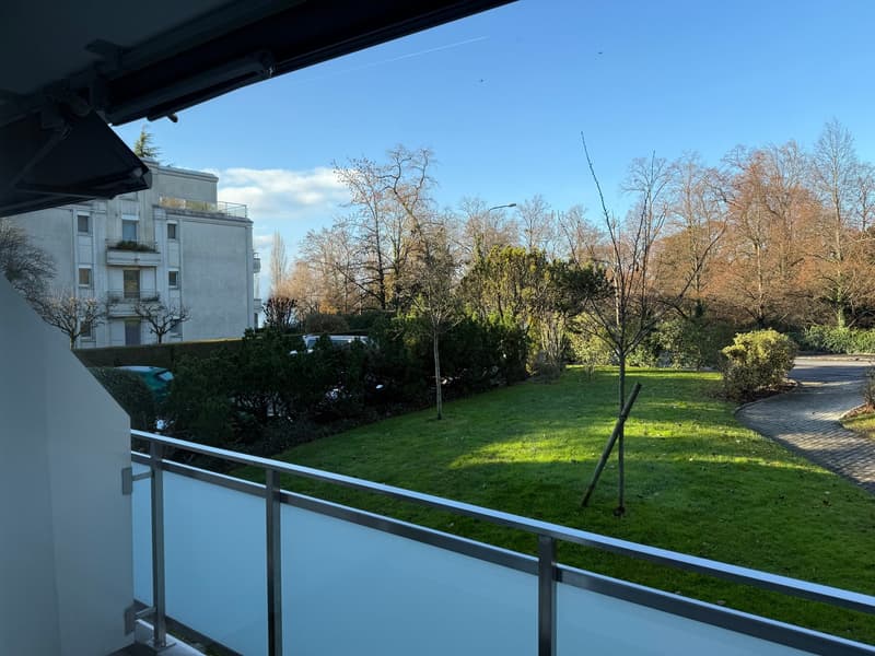 View from balcony, overlooking green lawn, street with vehicles, and trees in distance.