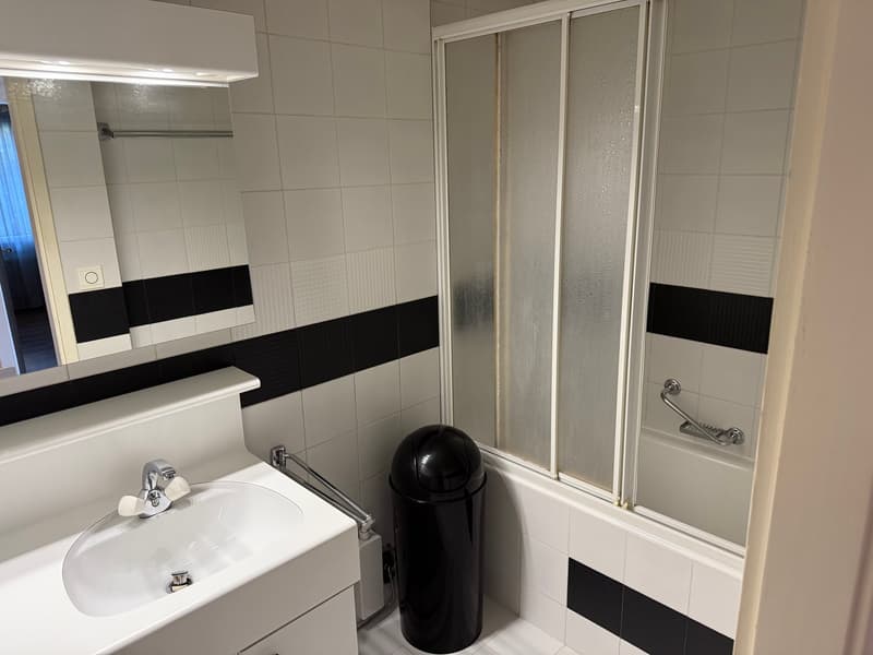 White sink, black trash bin, black and white tile, mirror, glass shower door, bathtub