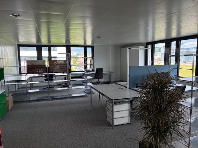 Superficie di 267 m2, uffici attuali, possibili per studi, ecc. (7)