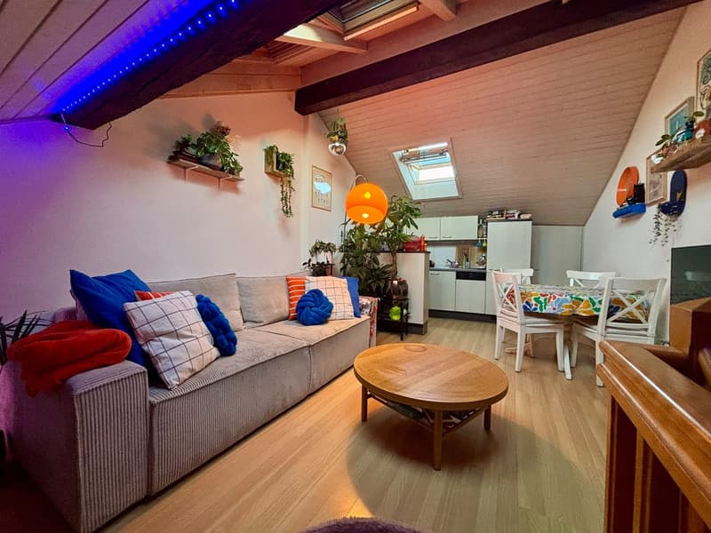 Appartement en duplex à remettre – centre de Fribourg 2,5 pièces (3)