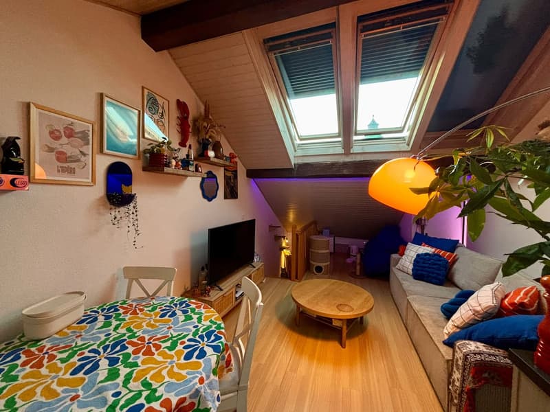 Appartement en duplex à remettre – centre de Fribourg 2,5 pièces (4)
