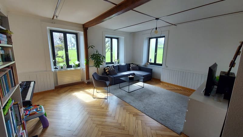 02023 - Situato in una zona tranquilla e vicina alla città - Bulles 26 - La Chaux-de-Fonds (5)