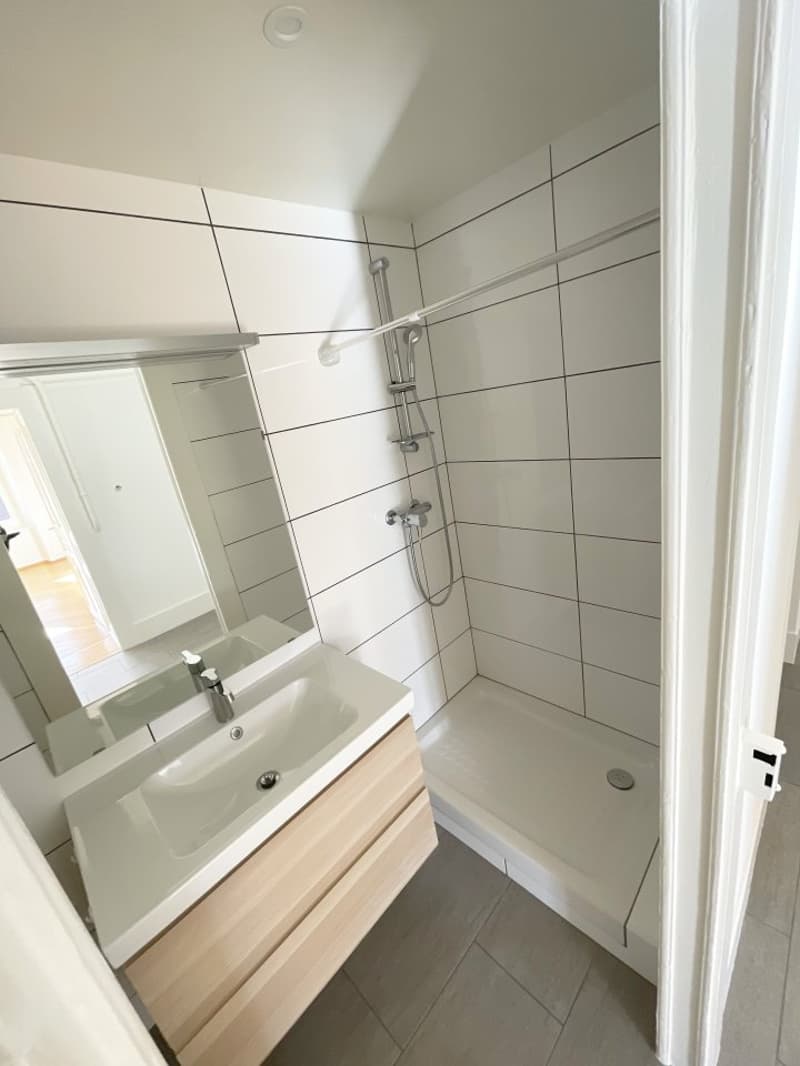 00904 - Appartamento 3½ locali - Parc 81 - La Chaux-de-Fonds (5)
