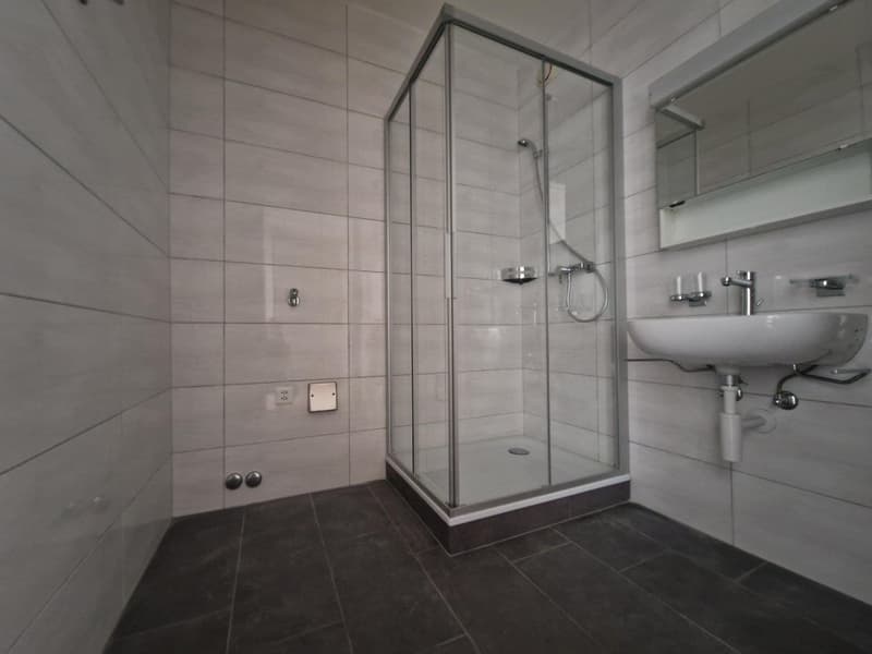 05582 - Schönes 2-Zimmer-Apartment - Combe-Grieurin 31 - La Chaux-de-Fonds (4)