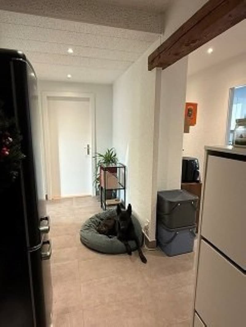 01129 - Appartement 4 pièces - Temple-Allemand 63 - La Chaux-de-Fonds (4)