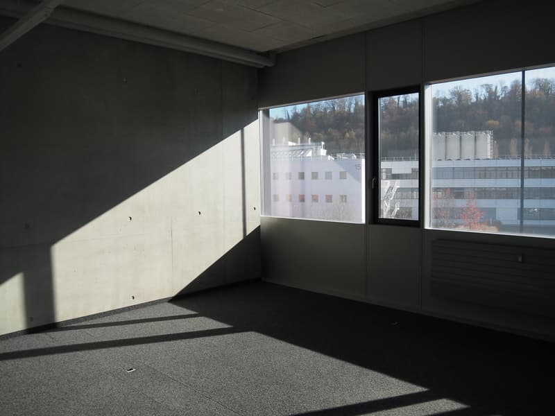 Superficie amministrativa di 169 m2 al 1° piano (2)