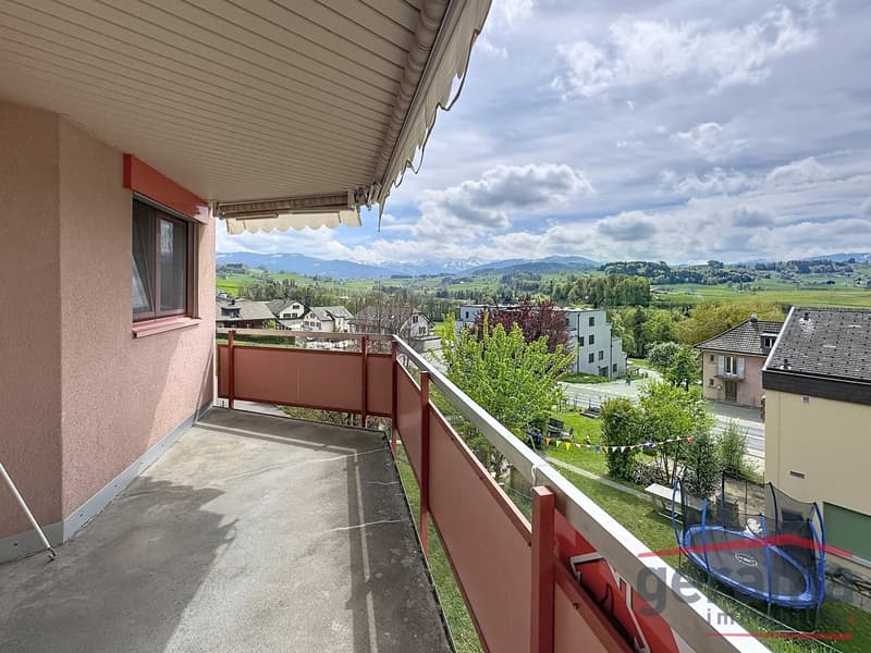 Charmante 3.5 Zimmerwohnung im 1.OG (6)