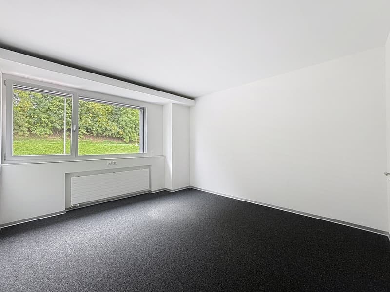 In affitto - Uffici di 200m2 a Rossens (4)