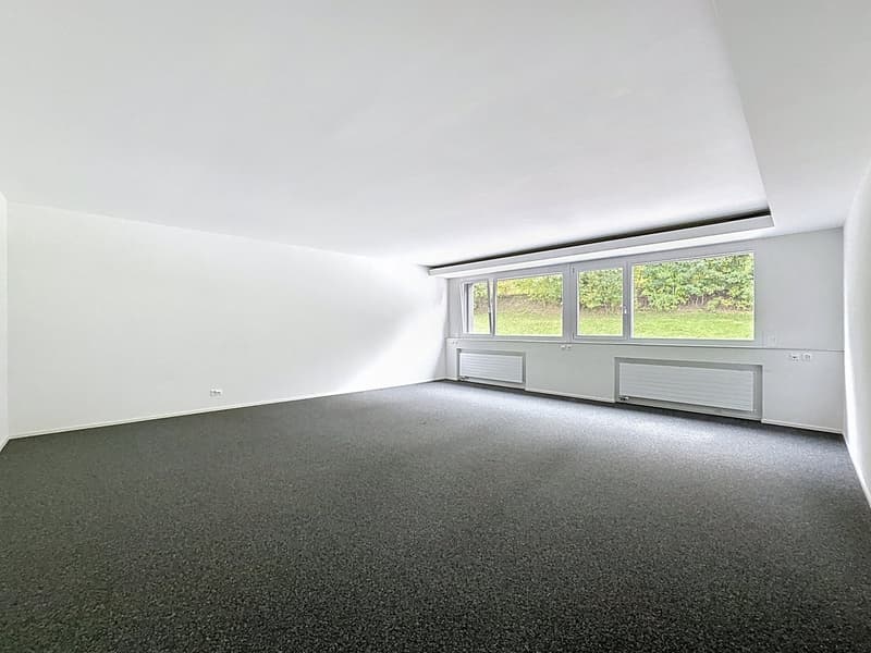 In affitto - Uffici di 200m2 a Rossens (3)