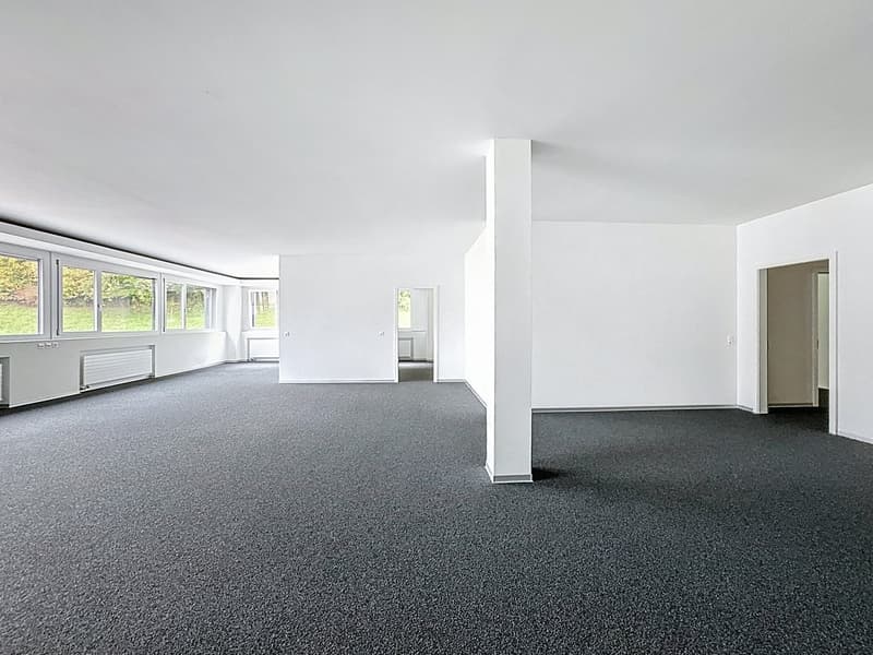 In affitto - Uffici di 200m2 a Rossens (2)