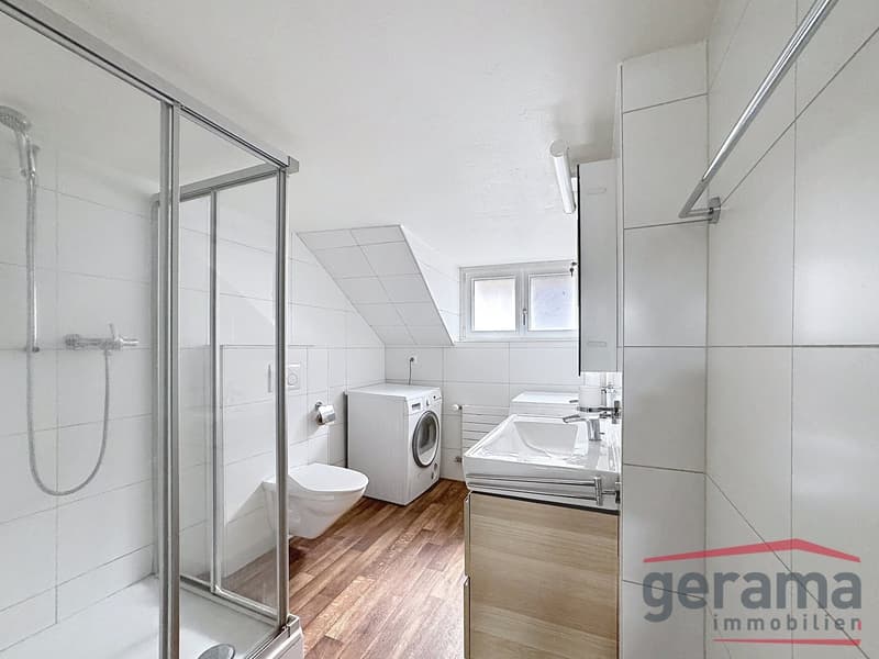 Bel appartement en duplex (6)