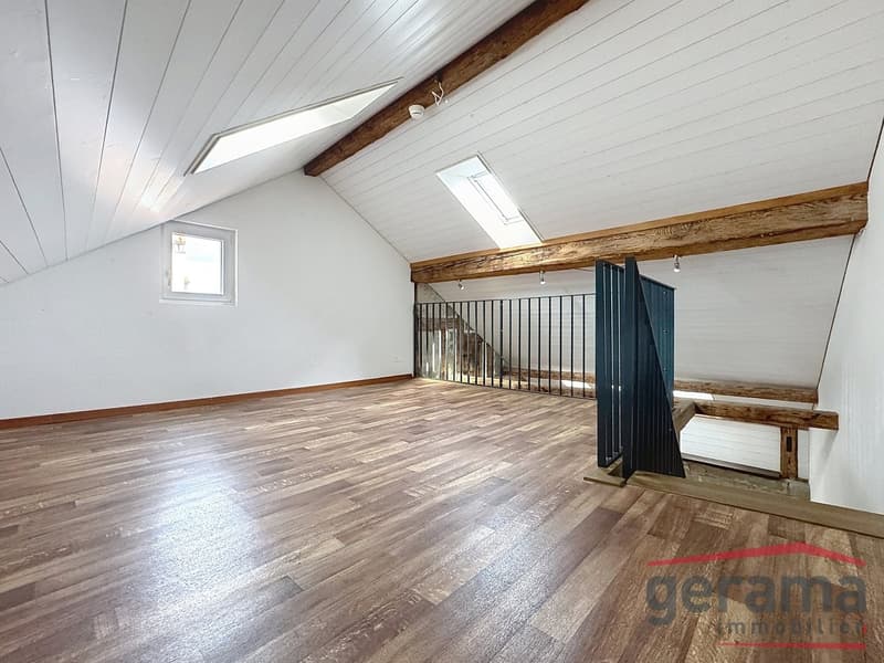 Bel appartement en duplex (4)