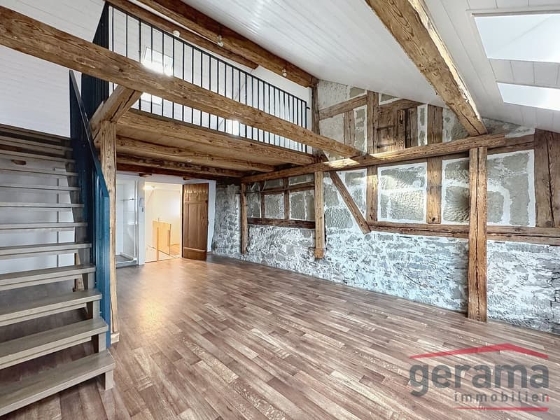 Bel appartement en duplex (3)