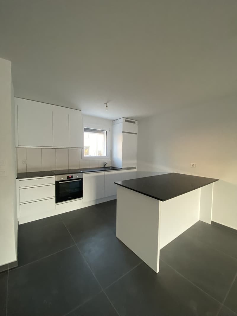 Neue 3.5 Zimmerwohnung in Müntschemier ! (1)