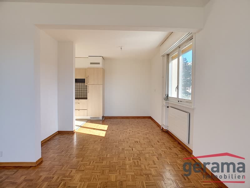 3.5 room apartment on the ground floor (2)