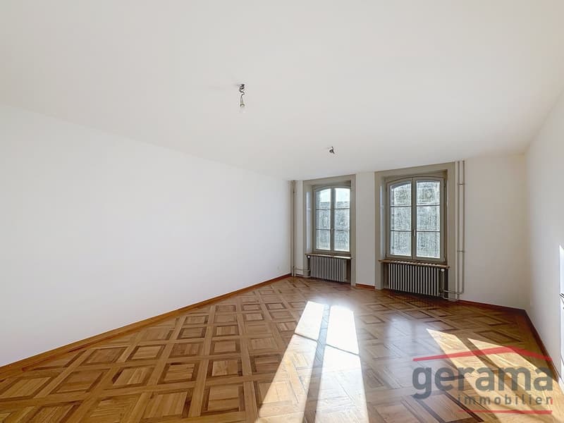 Magnificent apartment for rent in Fribourg (3)