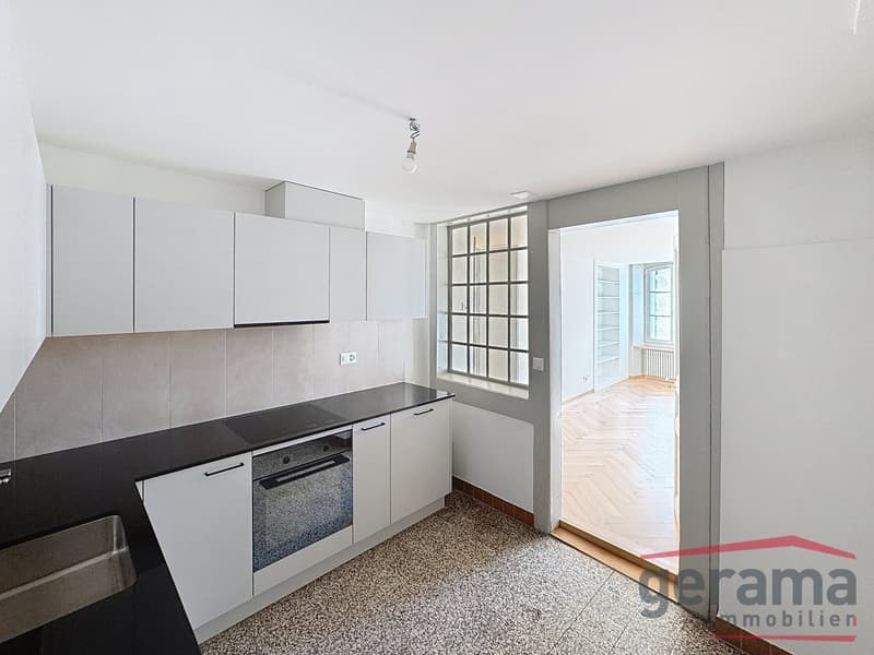 Magnificent apartment for rent in Fribourg (2)