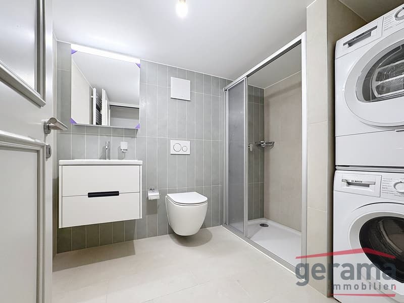 Magnificent apartment for rent in Fribourg (5)