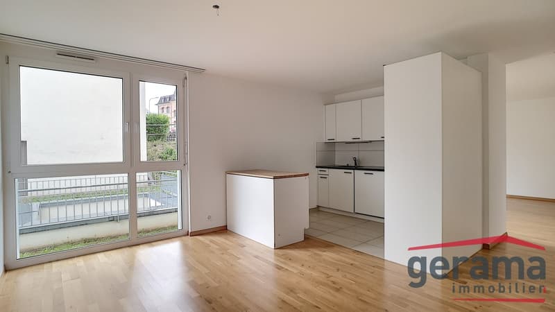 2.5 moderne au coeur de la ville ! (1)