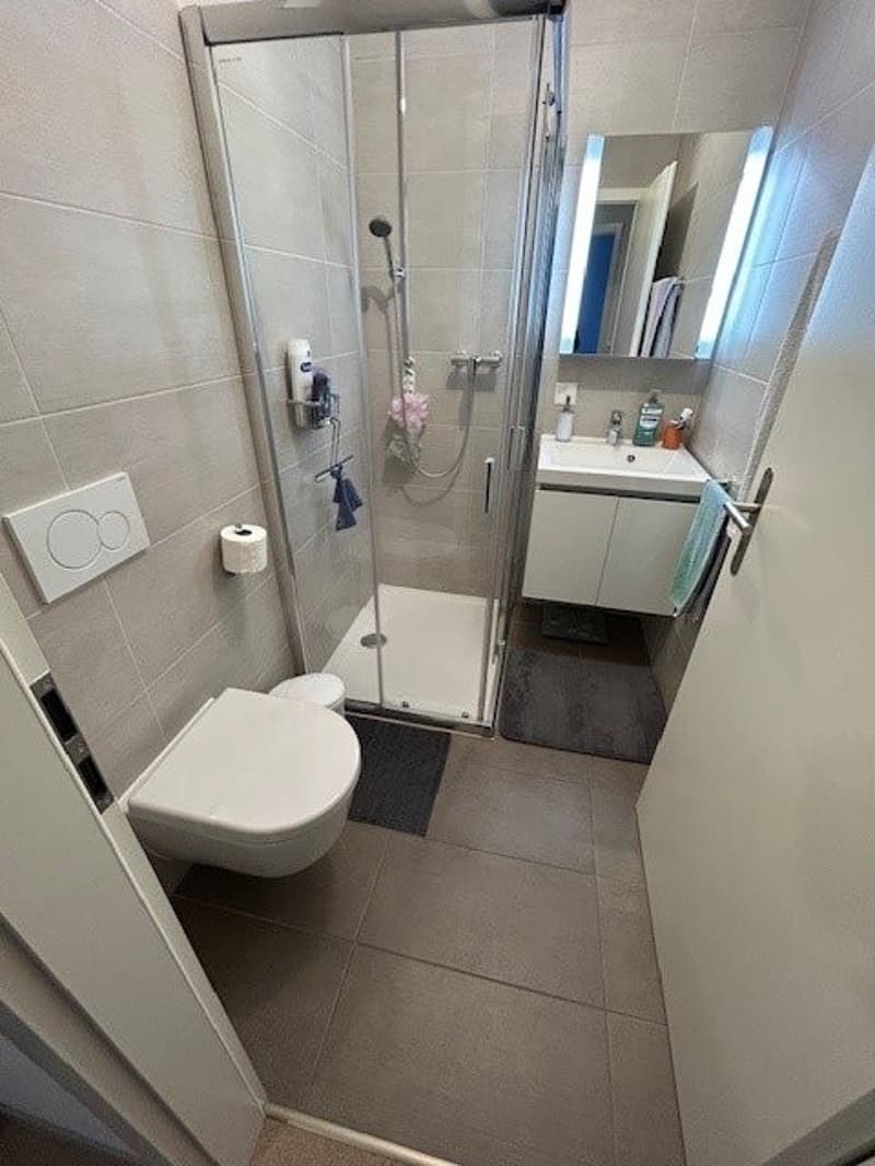 Schönes 3.5-Zimmer-Wohnung in Posieux (3)