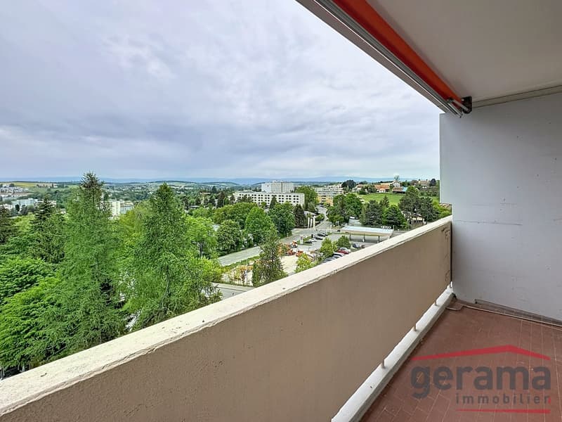 Wohnung 4.5 Zimmer - Ideal für eine Familie (6)