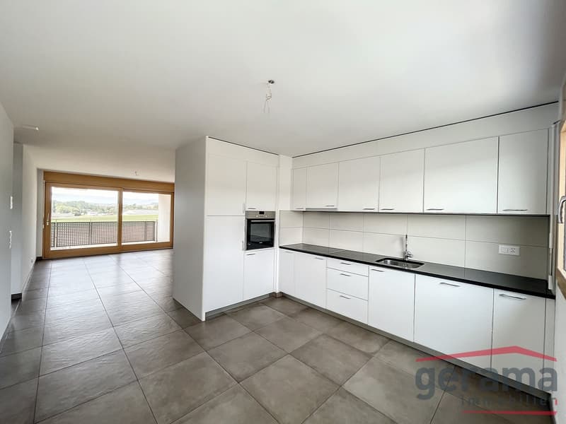 Appartement 3.5 pièces au 3ème (1)