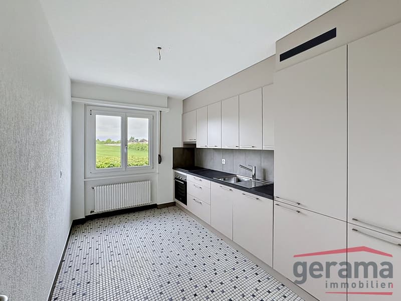 Bel appartement de 4.5 pièces (1)