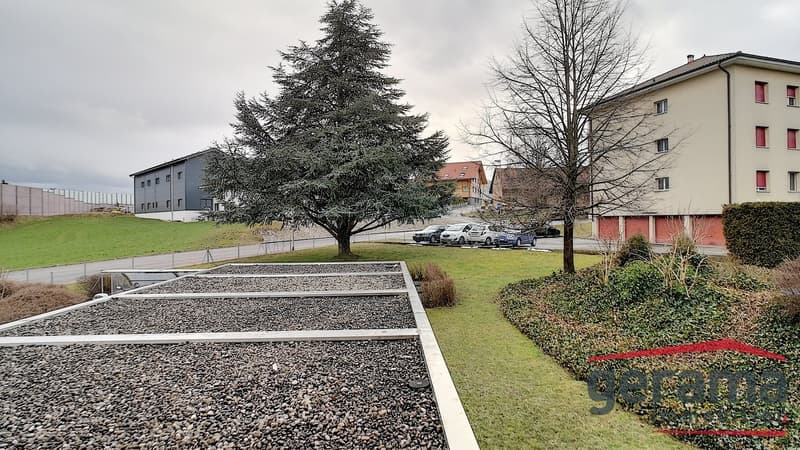 Bel appartement de 4.5 pièces (9)
