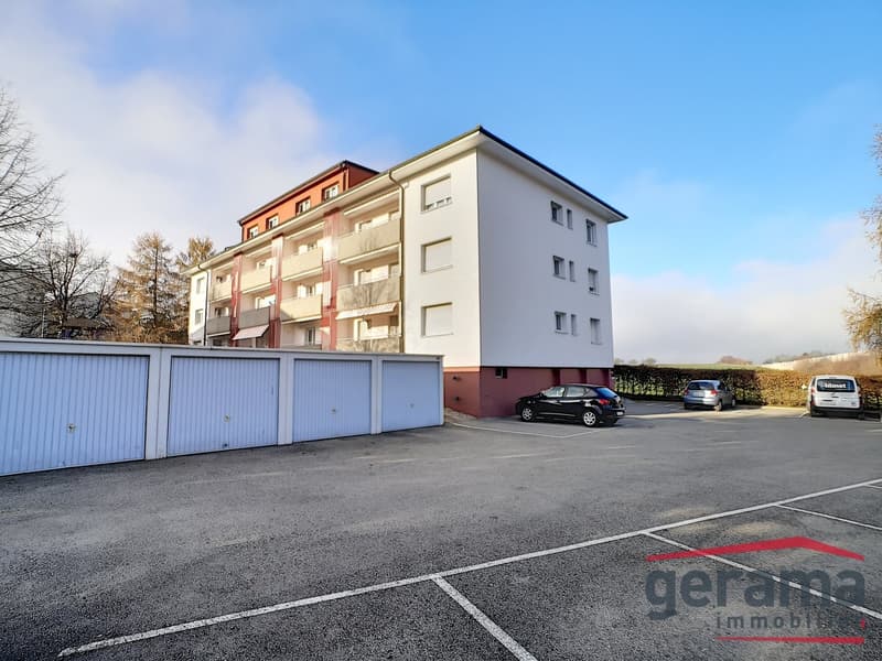 Bel appartement de 4.5 pièces (8)