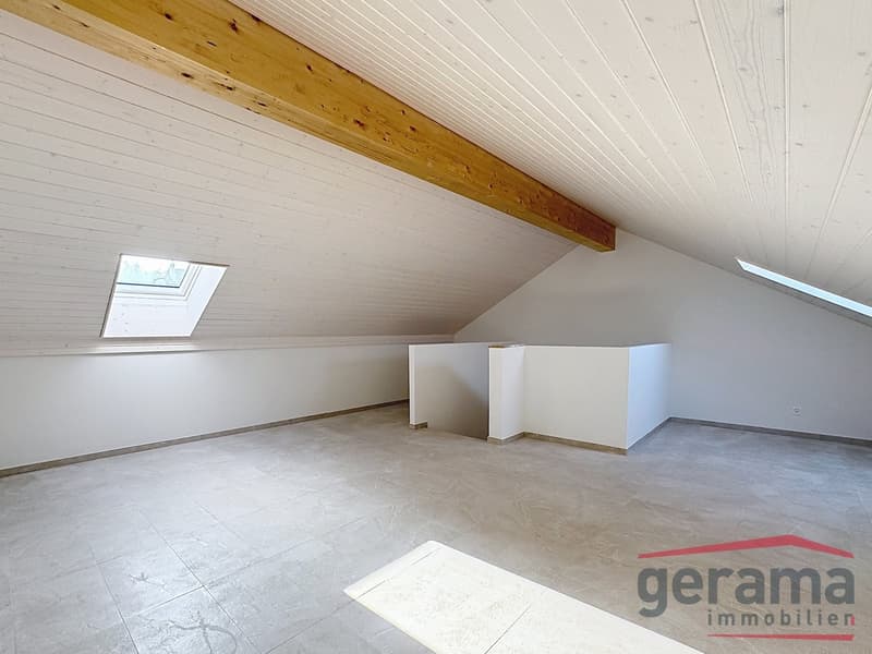 Bellissima villa nuova di 5.5 locali a Nuvilly (6)