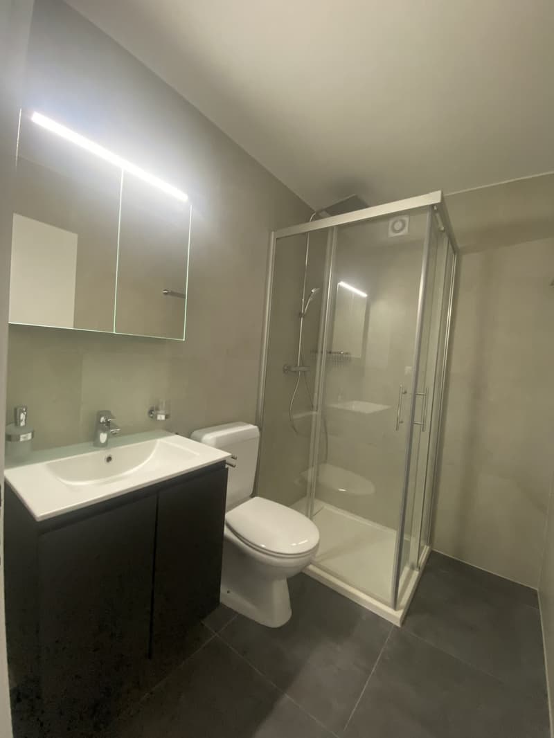 3.5 Zimmerwohnung in Düdungen ! (3)