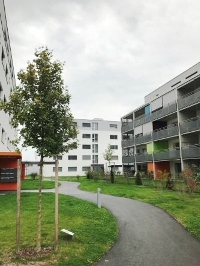 Appartement 3.5 pièces à Avenches (6)