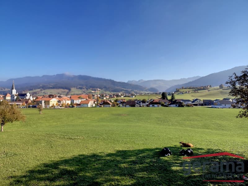 Charmante 3.5 Zimmerwohnung in Oberschrot . (9)