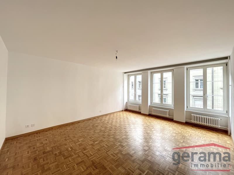 Large 2.5-room apartment (5)