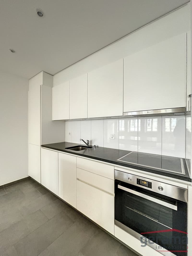 Large 2.5-room apartment (2)