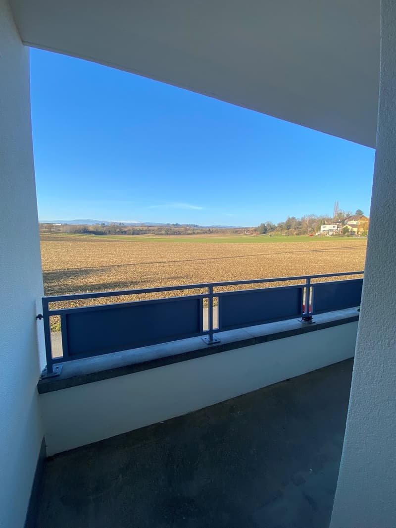 3.5 Zimmerwohnung in Müntschemier ! (4)