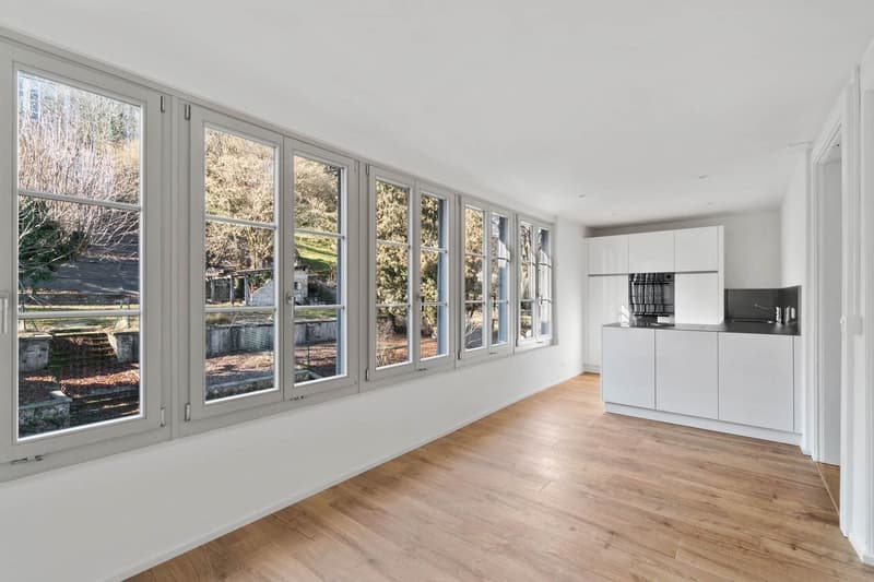 Superbe appartement 3.5 pièces (2)