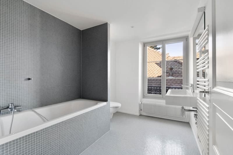 Superbe appartement 3.5 pièces (5)