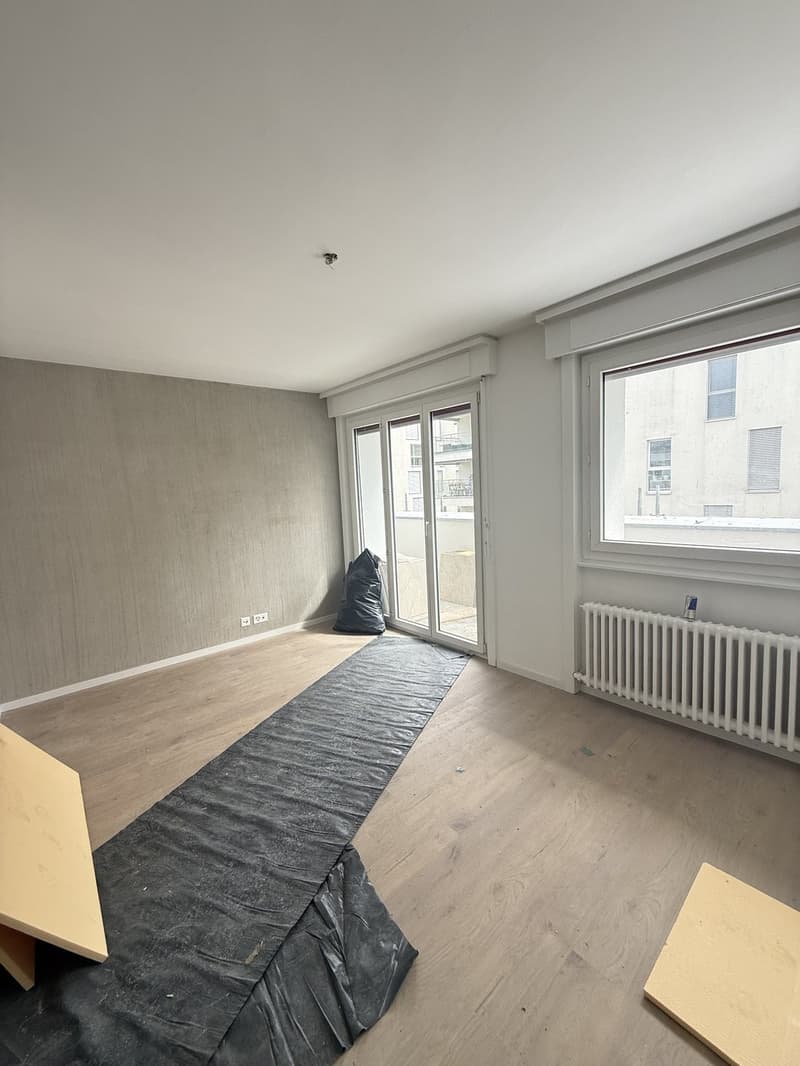 Joli studio à louer à Fribourg (2)