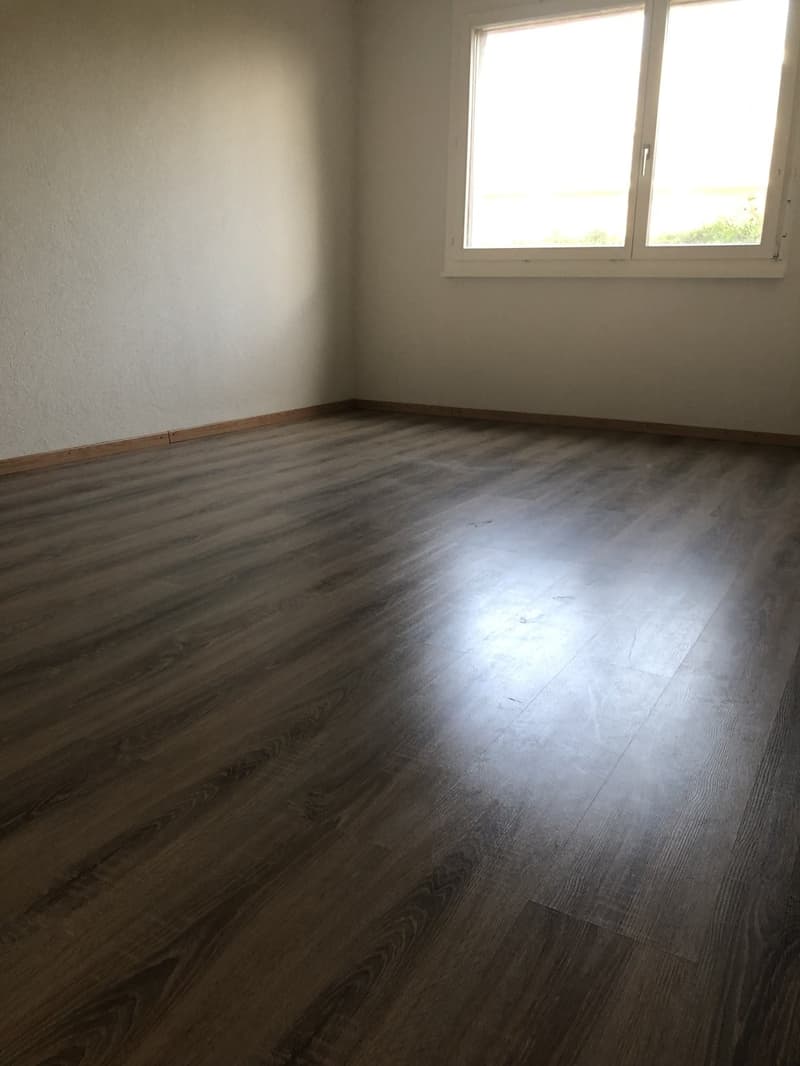 Charmante 3.5 Zimmerwohnung in Schmitten (4)