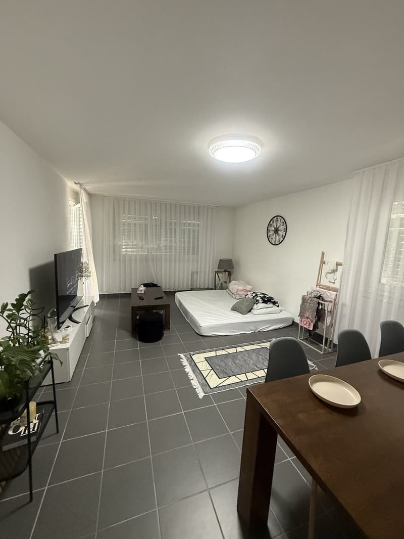3.5 Zimmerwohnung zu vermieten in Tafers (1)