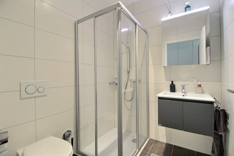 Prächtige 3.5-Zimmer-Wohnung in Marly (5)