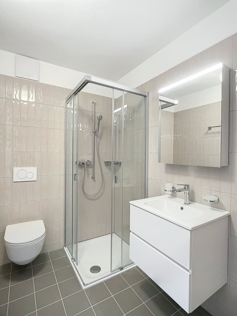 Moderne 3.5 Zimmerwohnung in Plaffeien (5)