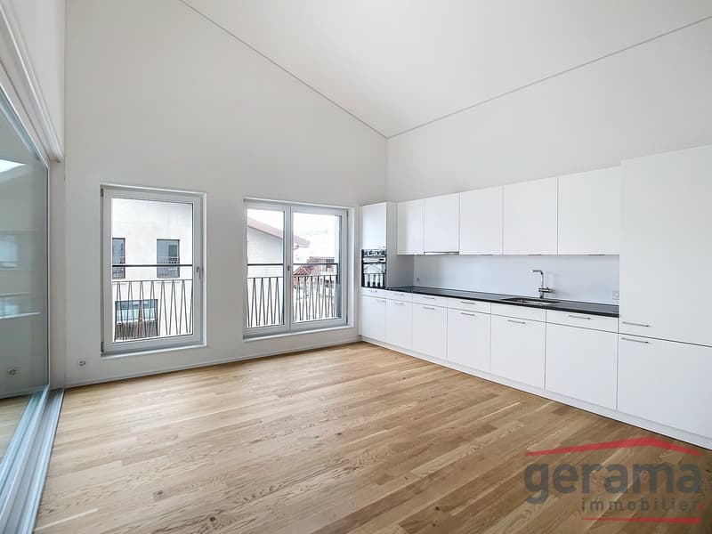 Appartamento moderno 3.5 locali a Plaffeien (1)