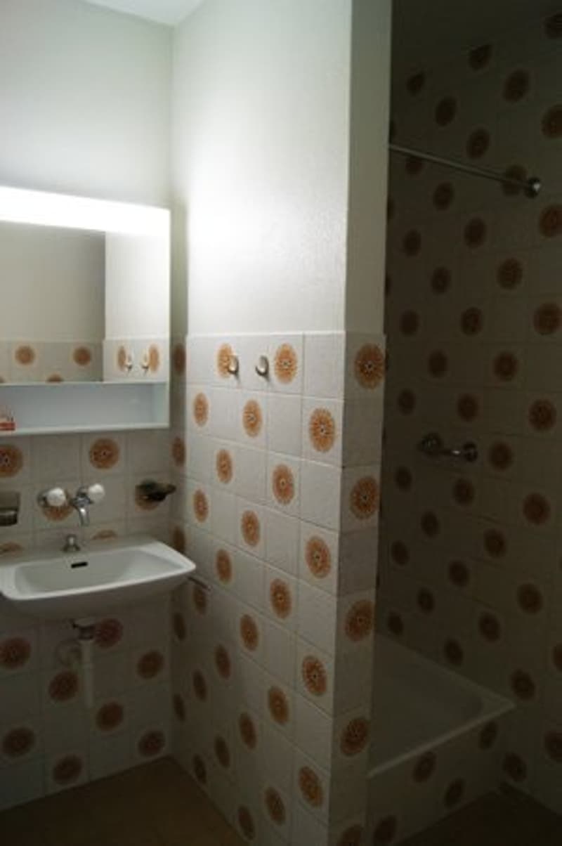 Appartement 1,5 pièces dans le quartier du Jura (3)