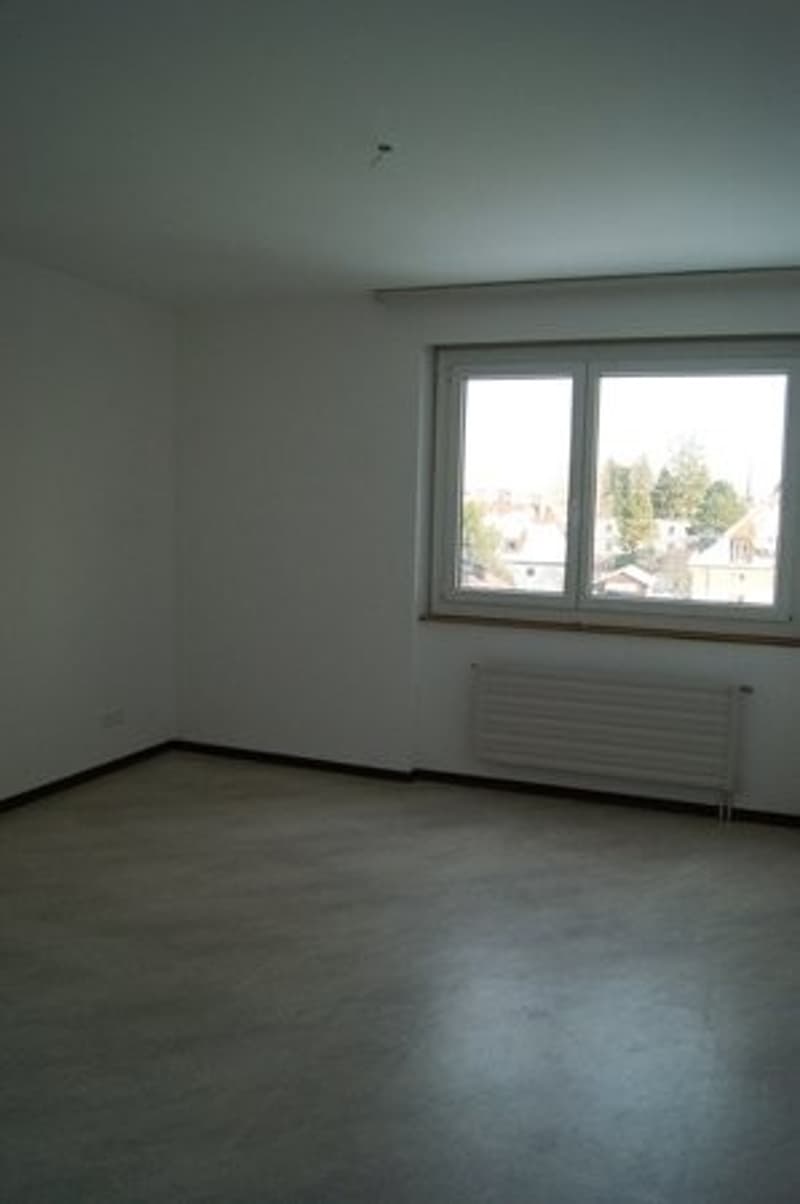 Appartement 1,5 pièces dans le quartier du Jura (2)