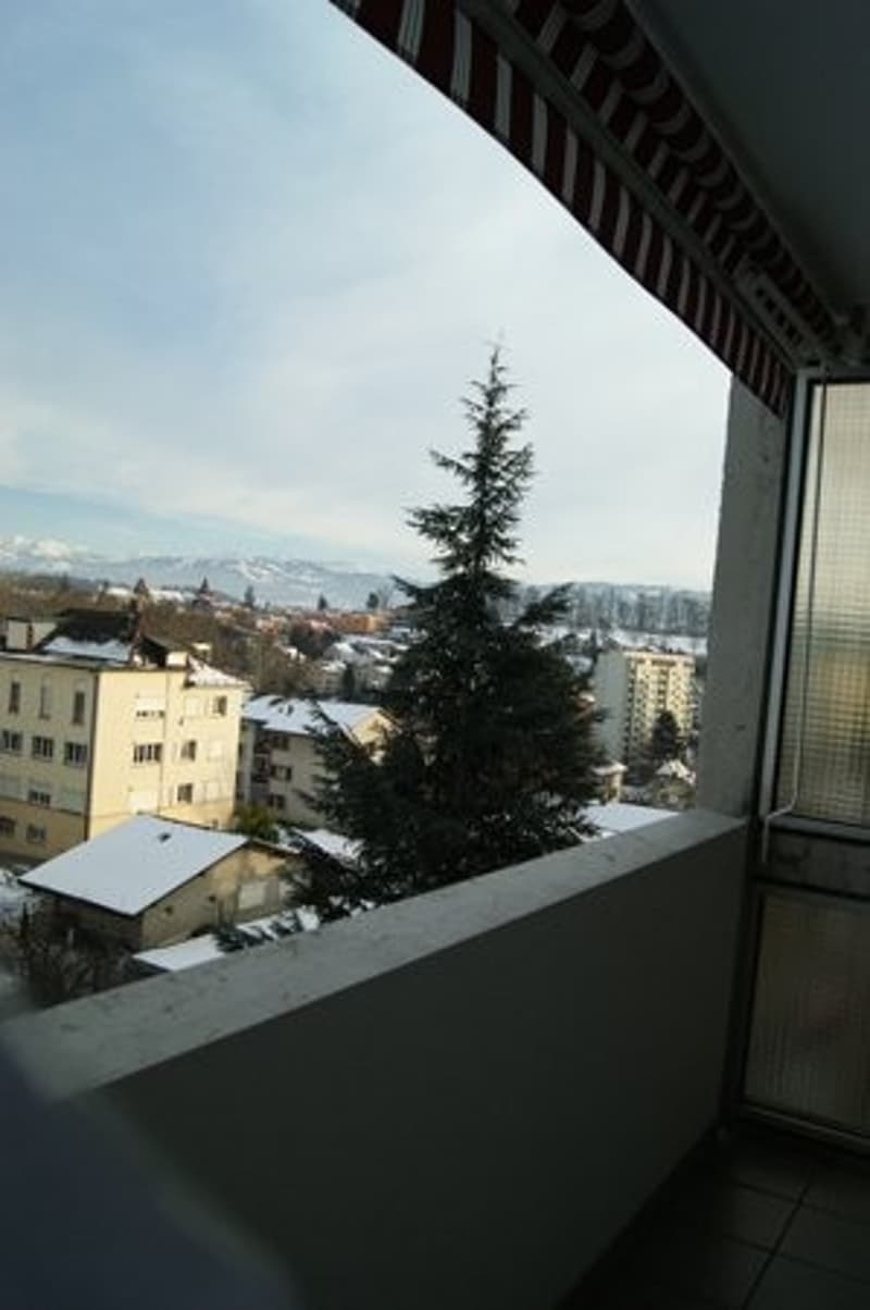 Appartement 1,5 pièces dans le quartier du Jura (4)